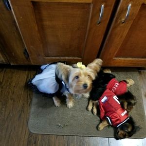 Meet your Posher, Althea